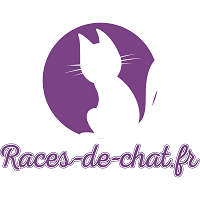 Races de chat