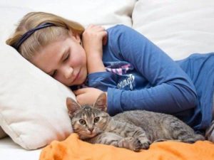 Pourquoi les chats aiment dormir avec nous