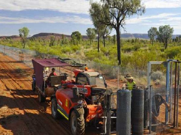 construction barrière anti-chats sauvages en Australie