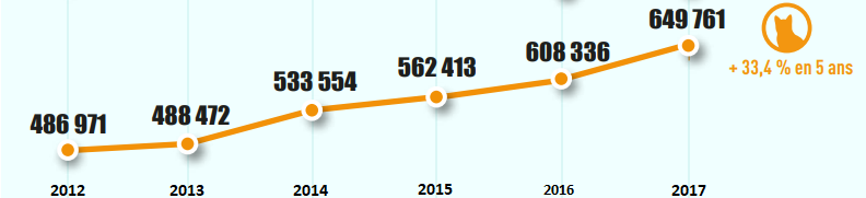 Evolution du nombre de chats identifiés sur 5 ans