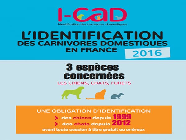 loi sur l'identification du chat