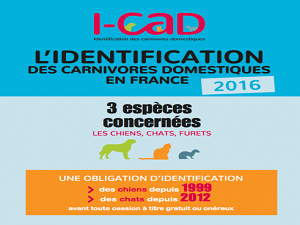 loi identification du chat