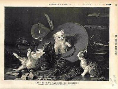 tableau représentant les chats Angora Turc du Cardinal de Richelieu