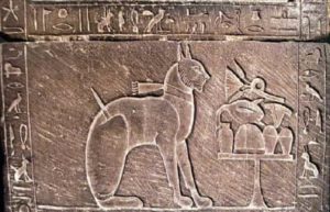 hiéroglyphe égyptien ancien représentant un chat