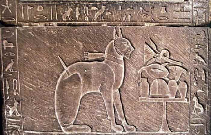 L’Égypte : Berceau de la domestication du chat