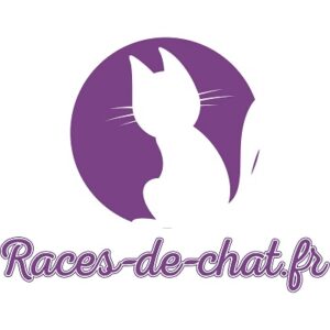 logo Races-de-chat